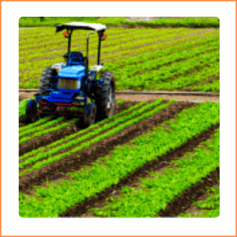 専門学校の農業分野解説と学校案内